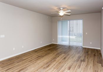 Coralina | cape coral fl